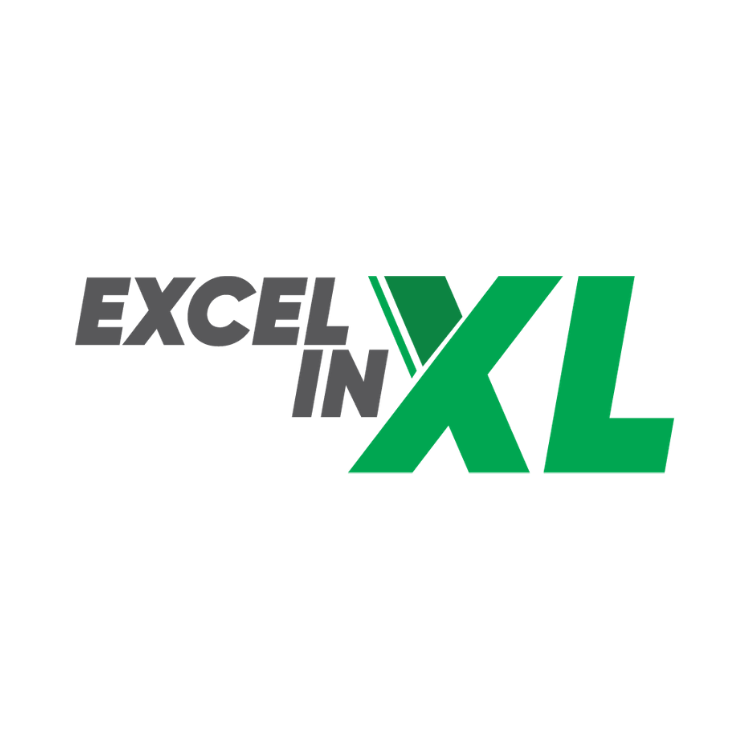 Excel in Excel Logo